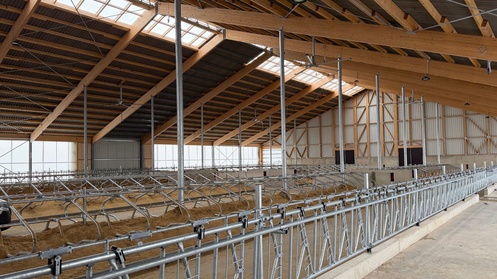 milchviehstall-boxenlaufstall-konzept-stalleinrichtung-stallkonzept-goldstein-tierwohlstall