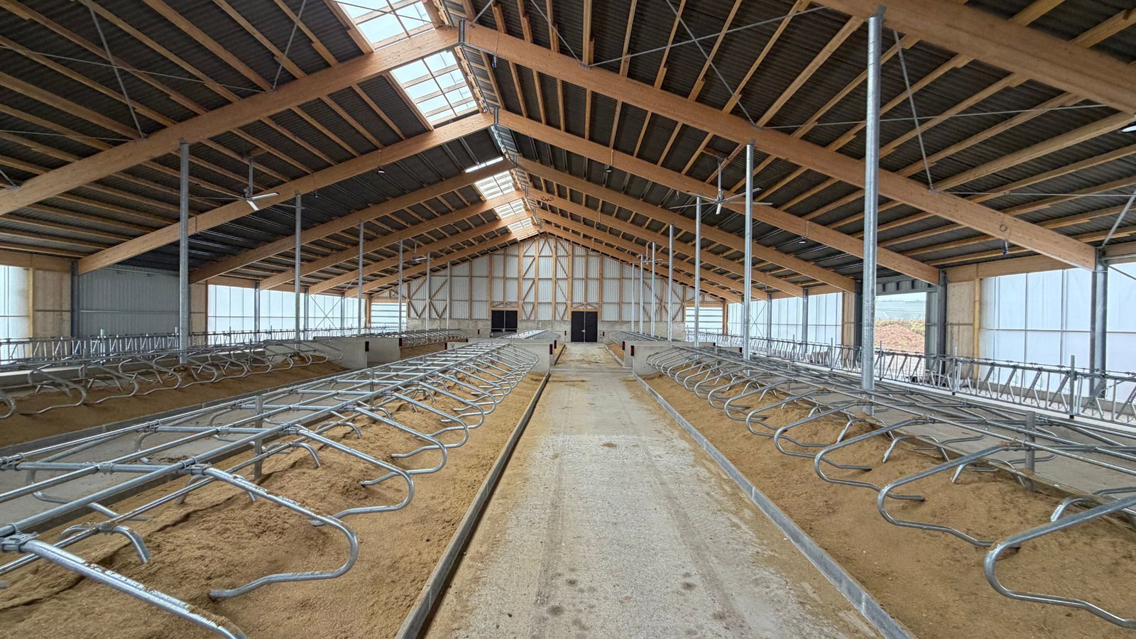 milchviehstall-boxenlaufstall-innen-overview-stalleinrichtung-stallkonzept-goldstein-tierwohlstall