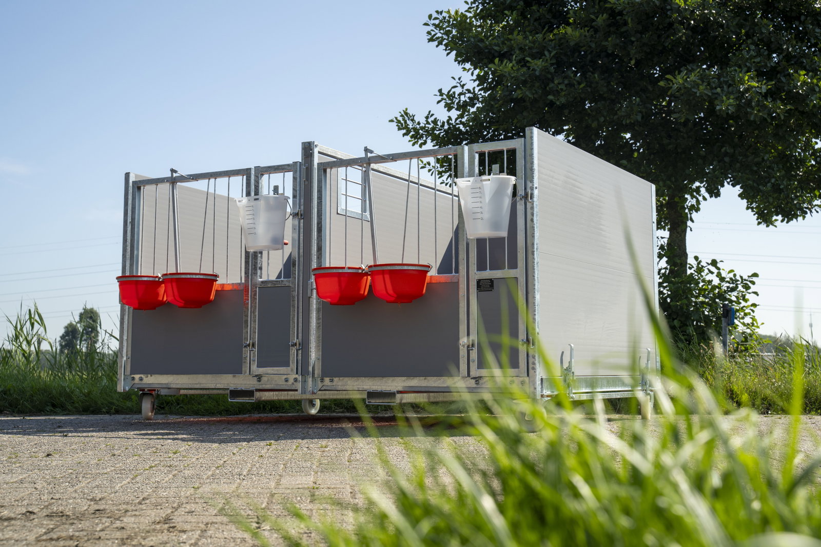 stalltechnik-roseboom-kaelberbox-duobox-detailansicht-innenraum