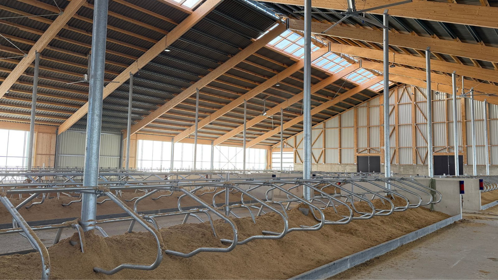 milchviehstall-boxenlaufstall-innen-liegeplatz-details-stalleinrichtung-stallkonzept-goldstein-tierwohlstall