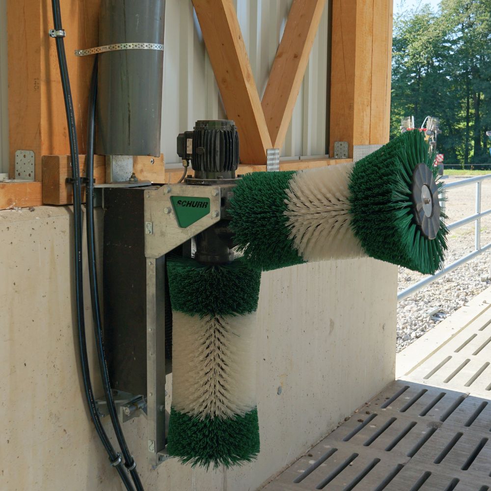 moderne-stallkonzepte-kuhkomofrt-kuhbrsten-Stalltechnik24