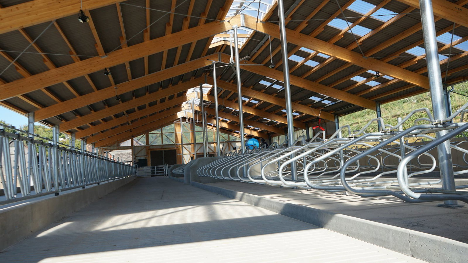 stalleinrichtung-stallkonzept-lev-wohlfllstall-18