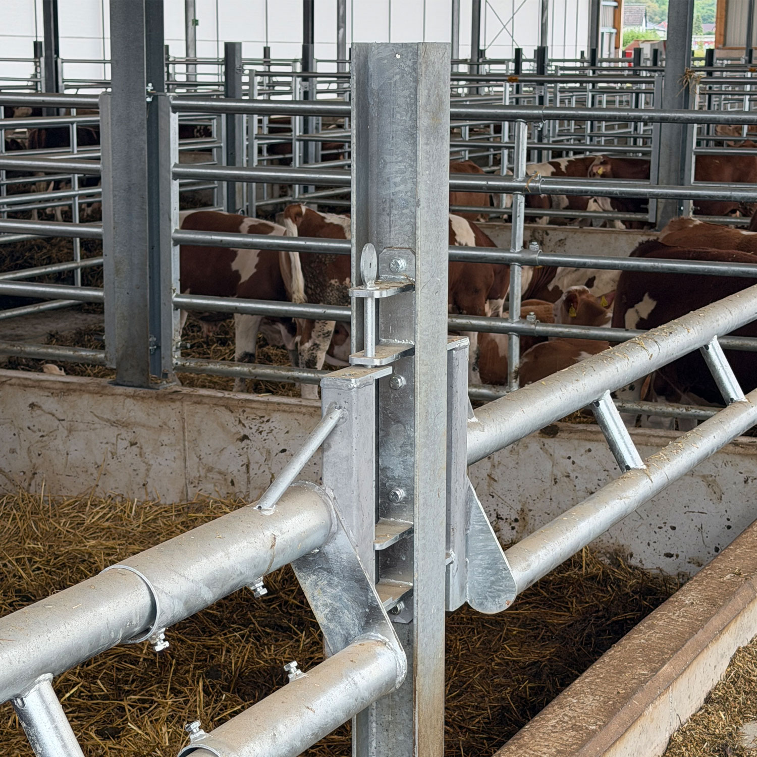 HEA-Standpfoste-stallbau-stalleinrichtung-beispiel-3-stalltechnik24