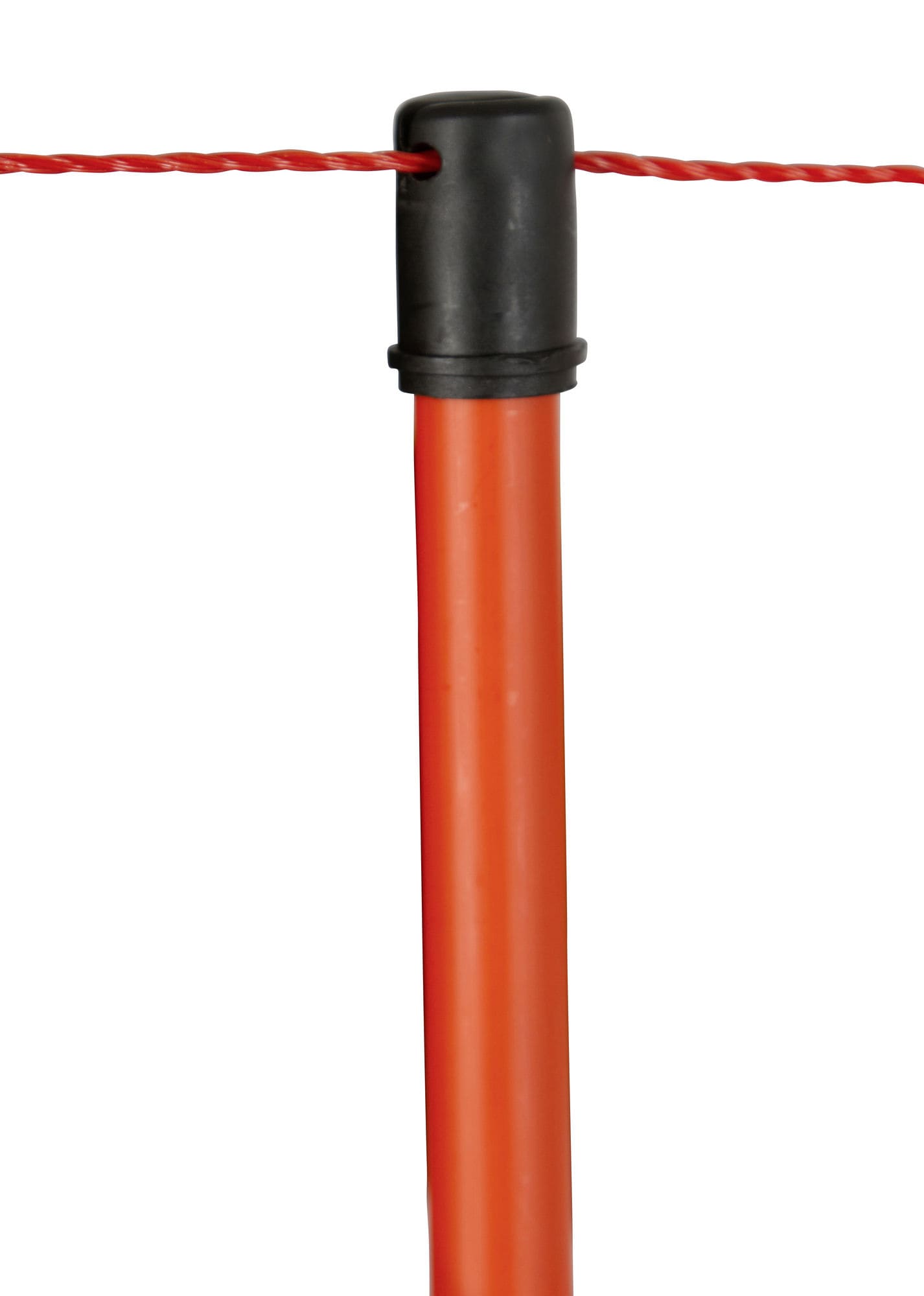 stalltechnik-AKO-EasyNet-Schafnetz-50m