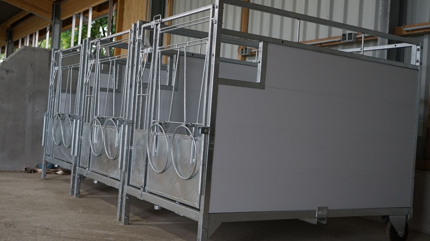 moderne-stallkonzepte-uph-anbindehaltung-kaelber-stalltechnik24