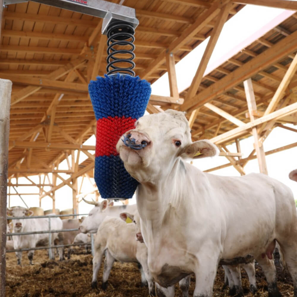 kerbl-kratzbuerste-happycow-flexiswing-mit-rind-18670