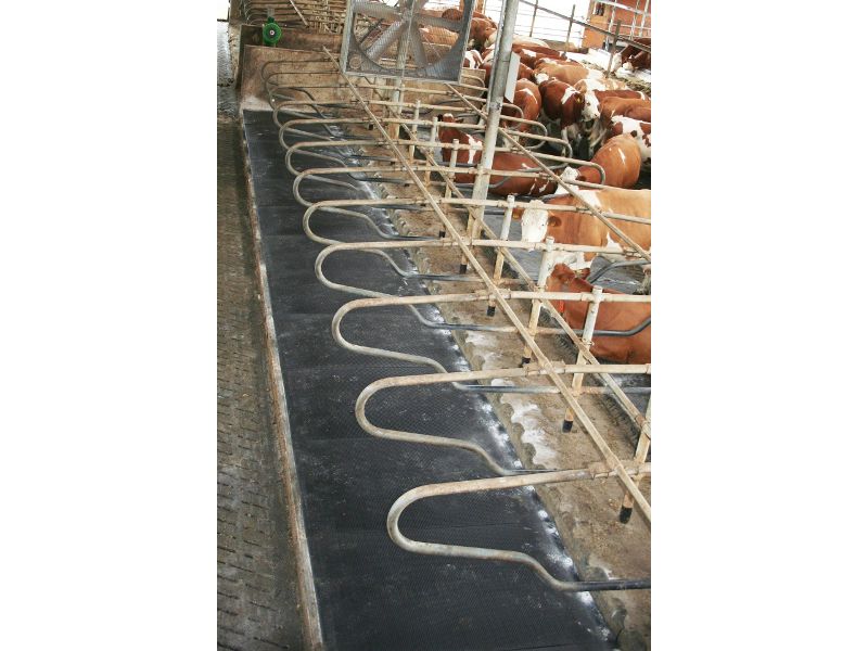 stalltechnik-Kraiburg-WELA-Gummimatte-Liegebox