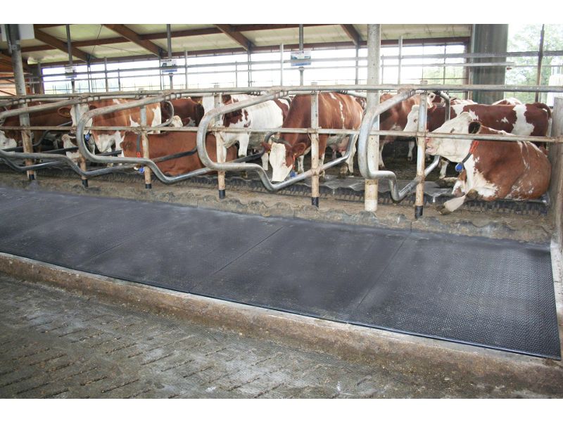 stalltechnik-Kraiburg-WELA-Gummimatte-Liegebox