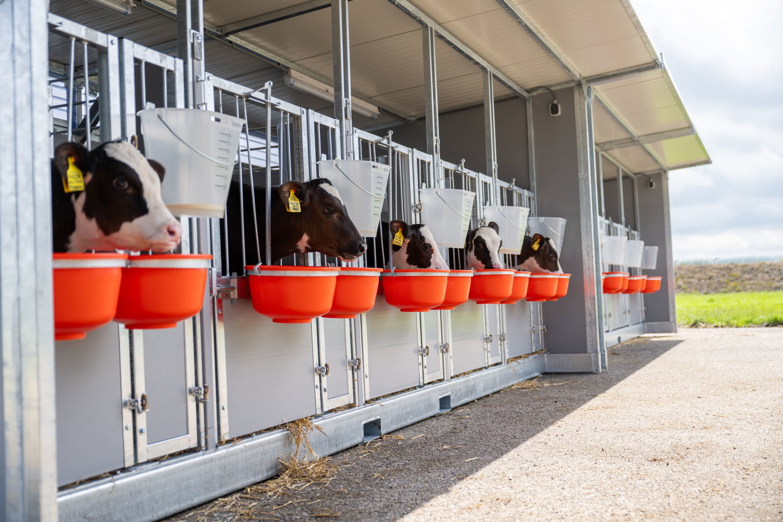 stalltechnik-roseboom-kaelberhuette-quintett-ansicht-von-vorne