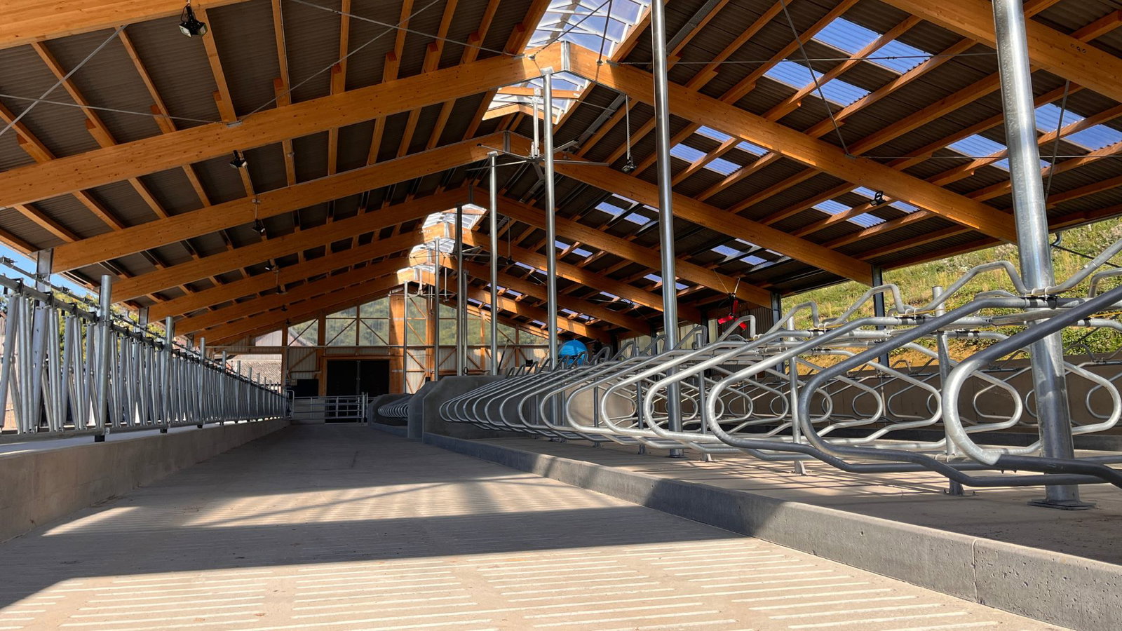 stalleinrichtung-stallkonzept-lev-wohlfllstall-24