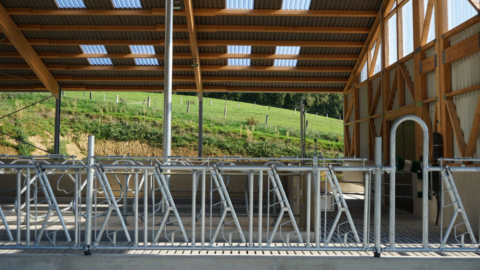 stalleinrichtung-stallkonzept-lev-wohlfllstall-16