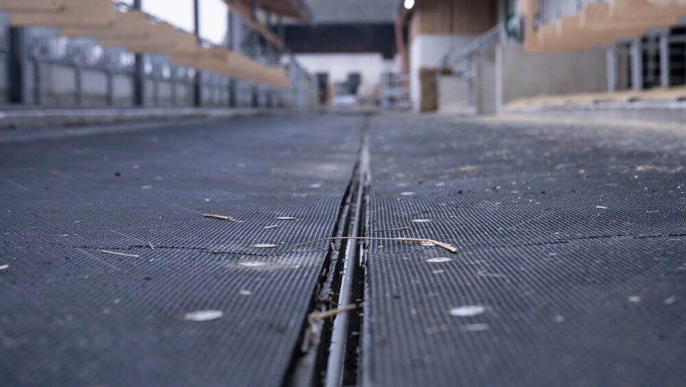 stalltechnik-kraiburg-profikura-3d-verlegung