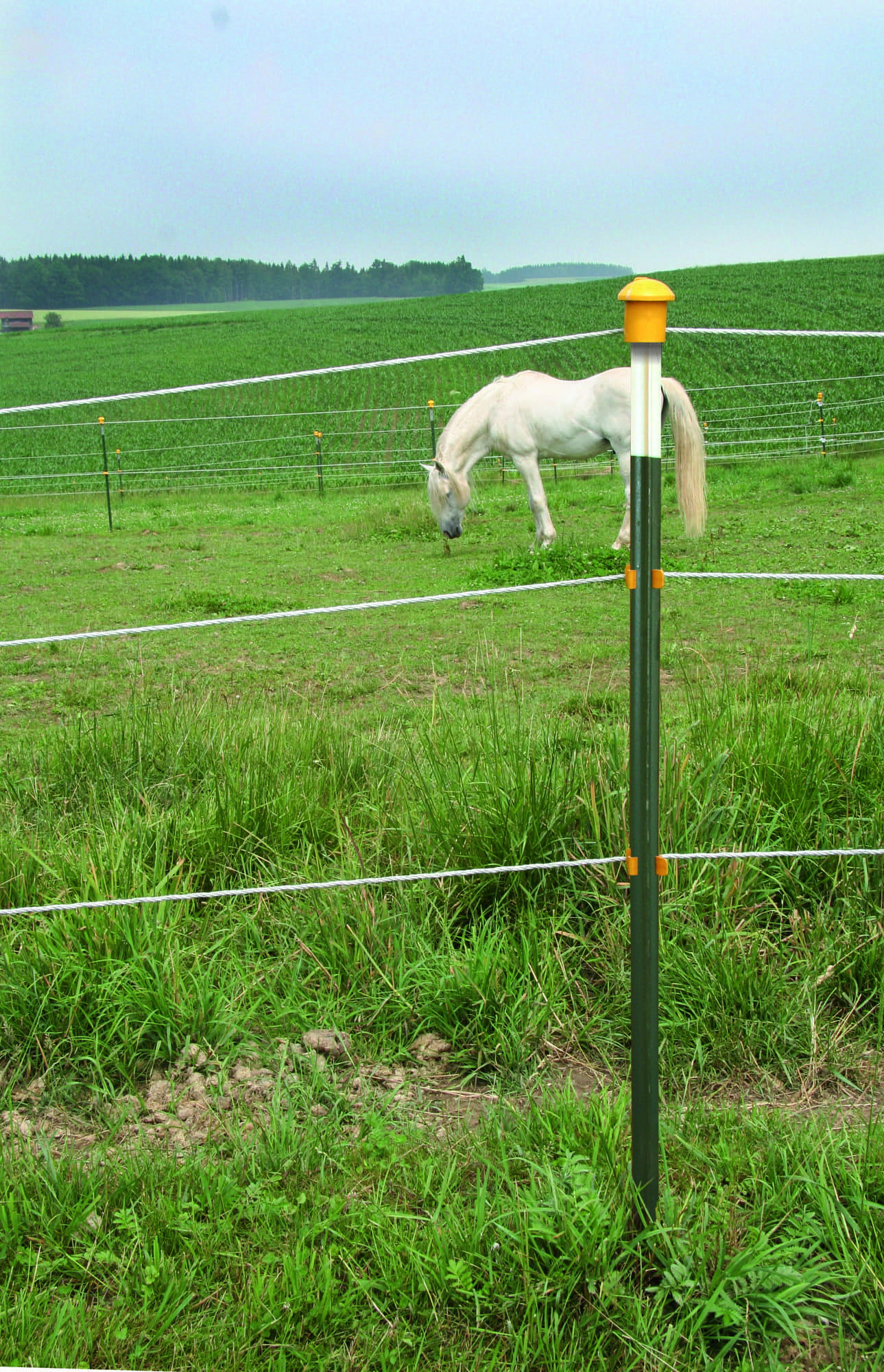 Stalltechnik-AKO-Metallpfahl-T-Post-Weidezaunpfahl
