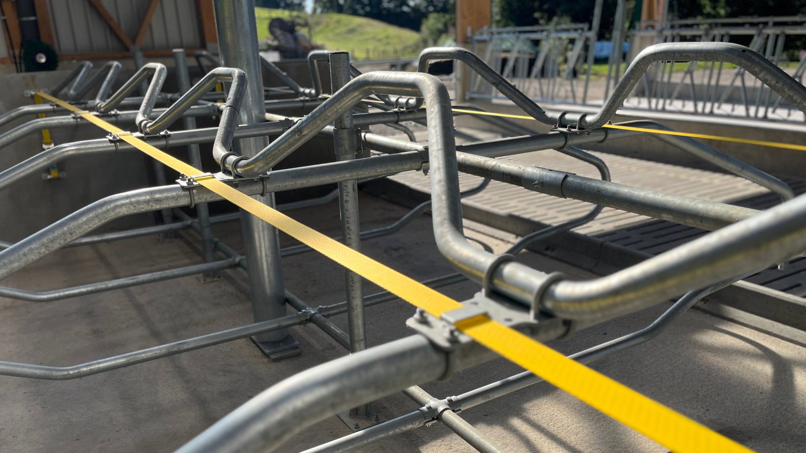 stalleinrichtung-stallkonzept-lev-wohlfllstall-27