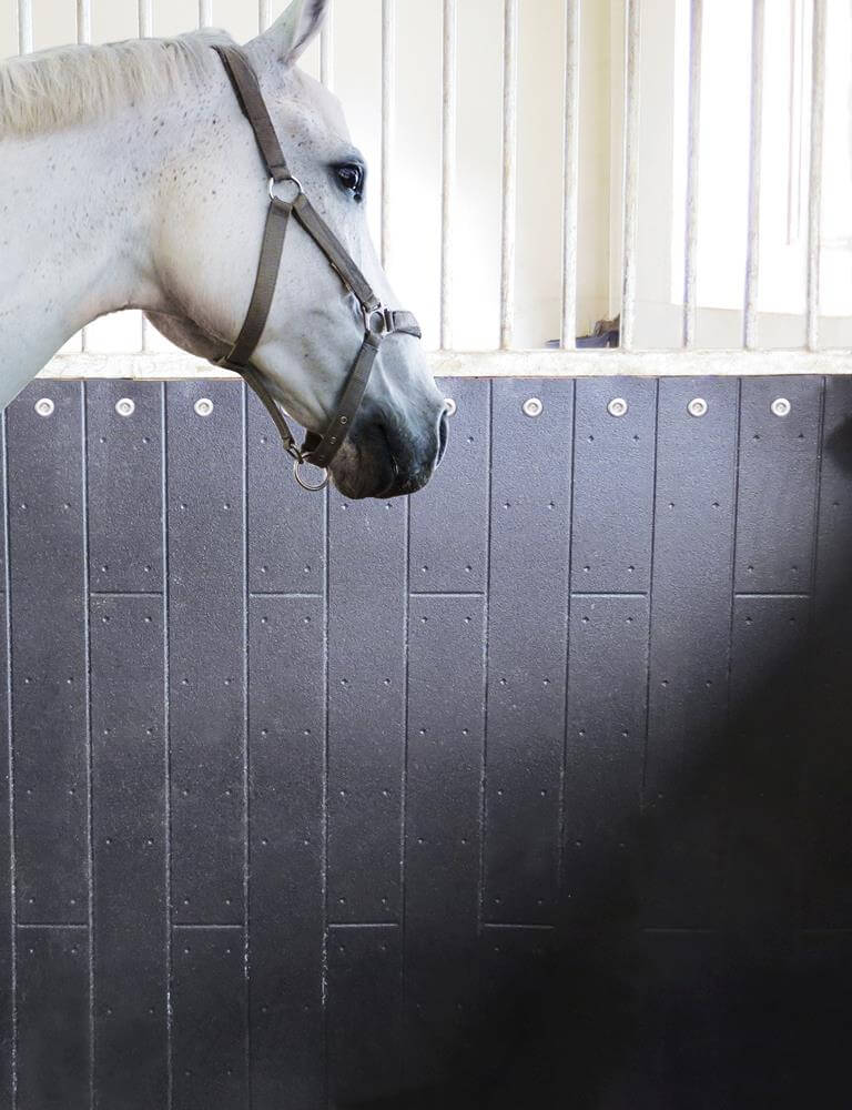 stalltechnik-kraiburg-belmondo-rodeo-oberflaeche-gewoelbt