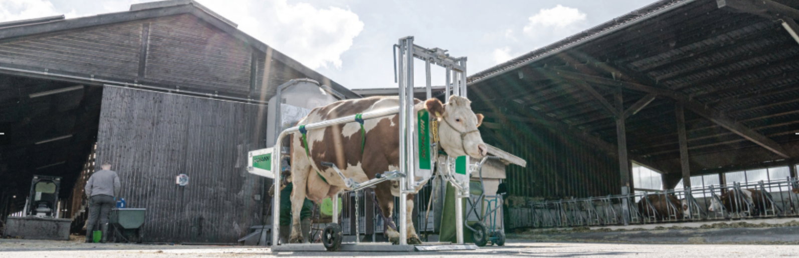 stalltechnik24-klauenpflegestand- rind-stalleinrichtung-pflege