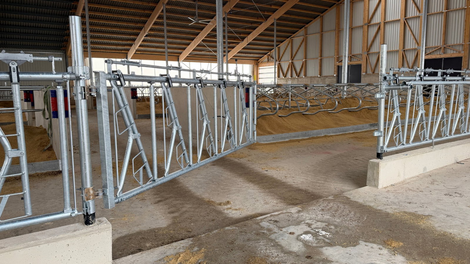 milchviehstall-boxenlaufstall-tore-liegeplatz-stalleinrichtung-stallkonzept-goldstein-tierwohlstall