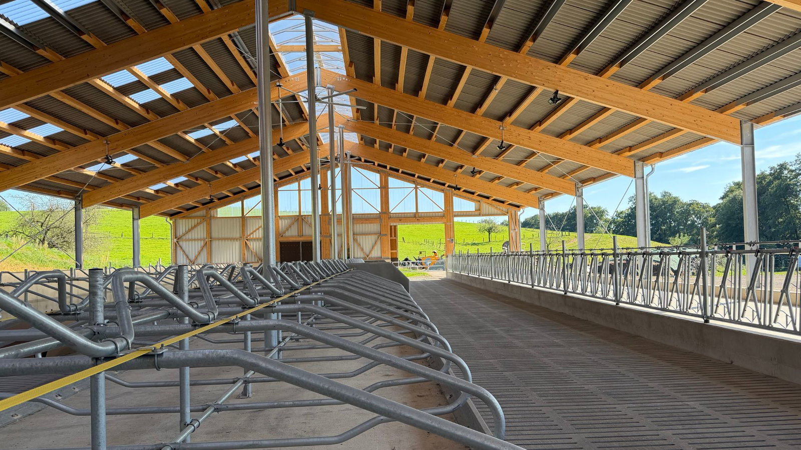 stalleinrichtung-stallkonzept-lev-wohlfllstall-11