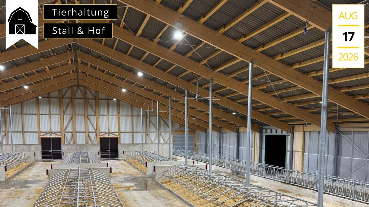 Stallgefluester-Optimale-Stallbeleuchtung-Tierwohl-Stalltechnik24-Blog