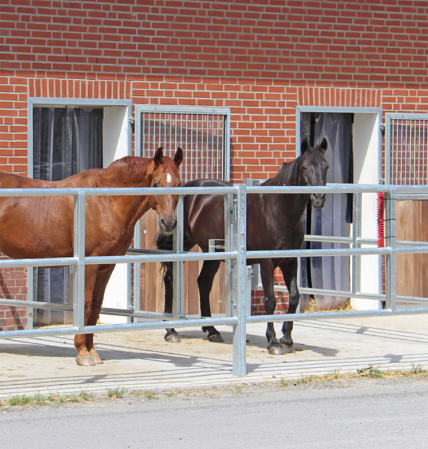 Paddock-Set-kaufen-3x3m-pferde-stall-stalltechnik24