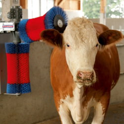 kuhbürste-kuhkomfort-happycow-duo-kerbl