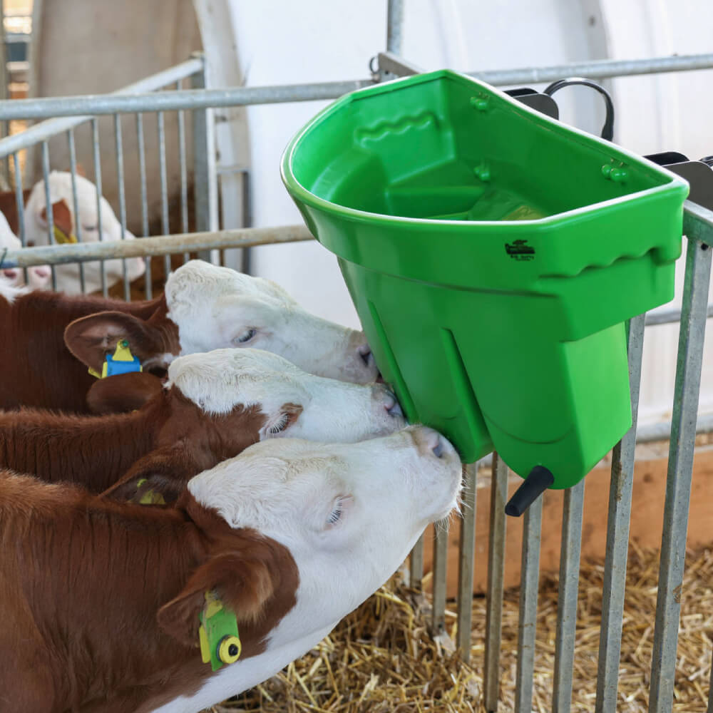 stalltechnik-kerbl-kaelbertraenkewanne-multi-feeder