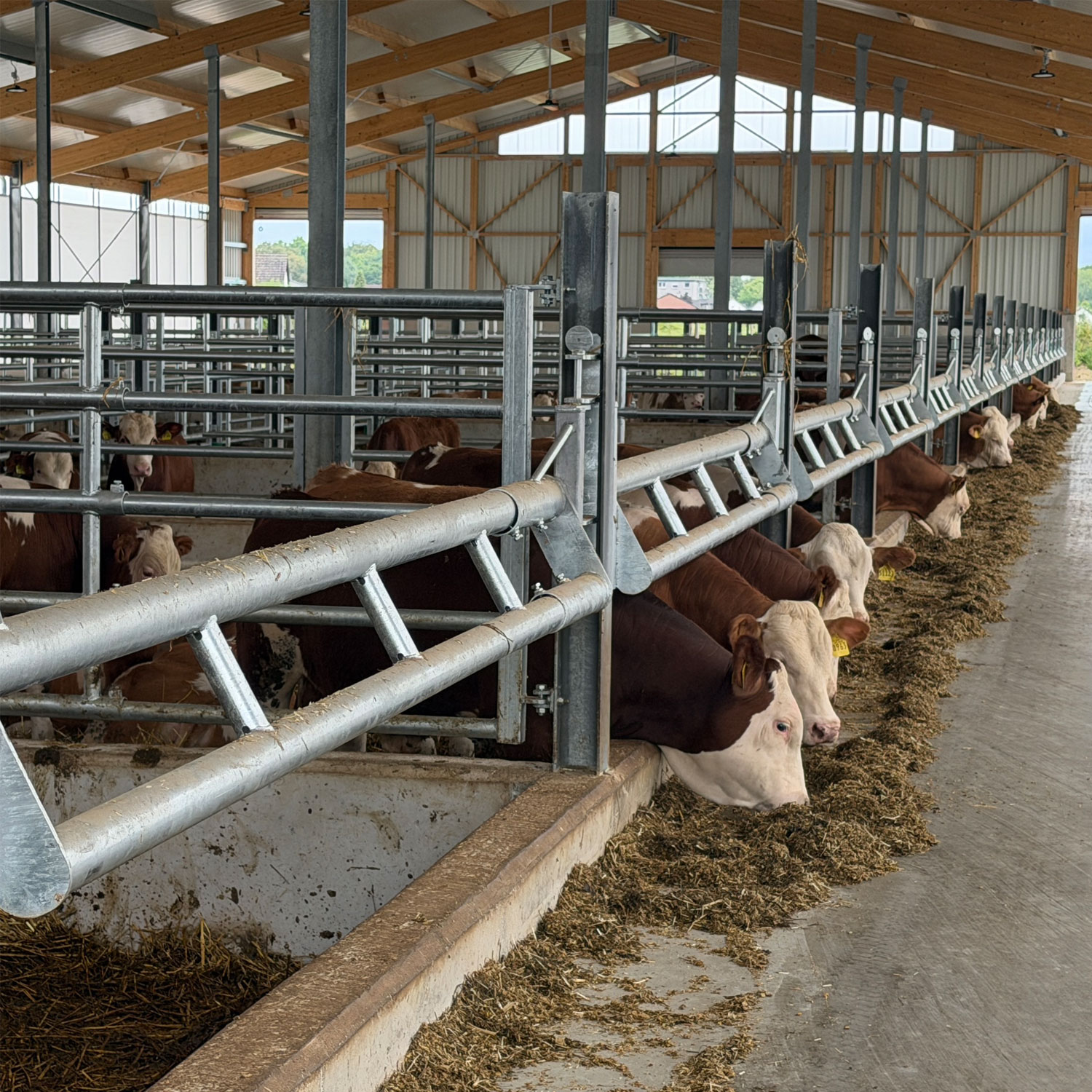 Bullenfressgitter 2,50 bis 7,00 m