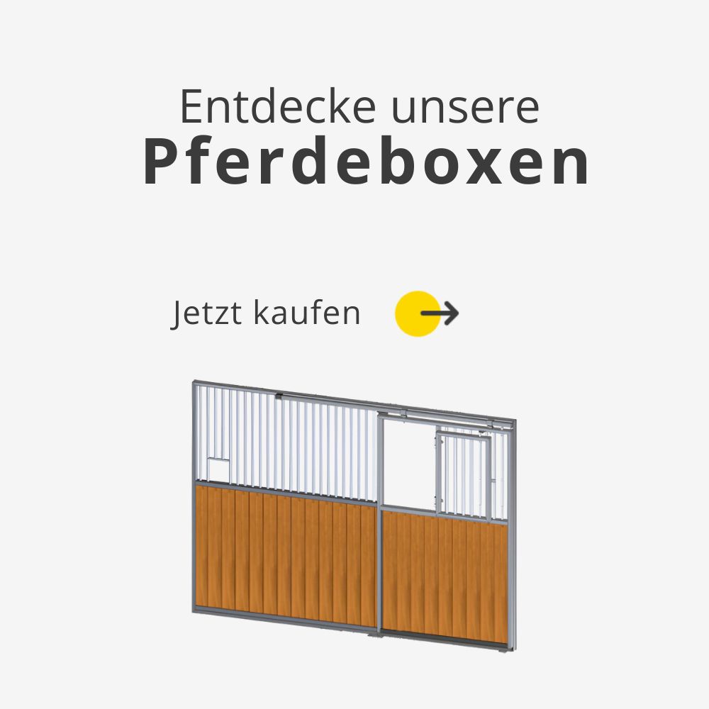 pferdeboxen-sets-pferdehaltung-kaufen-stalltechnik24