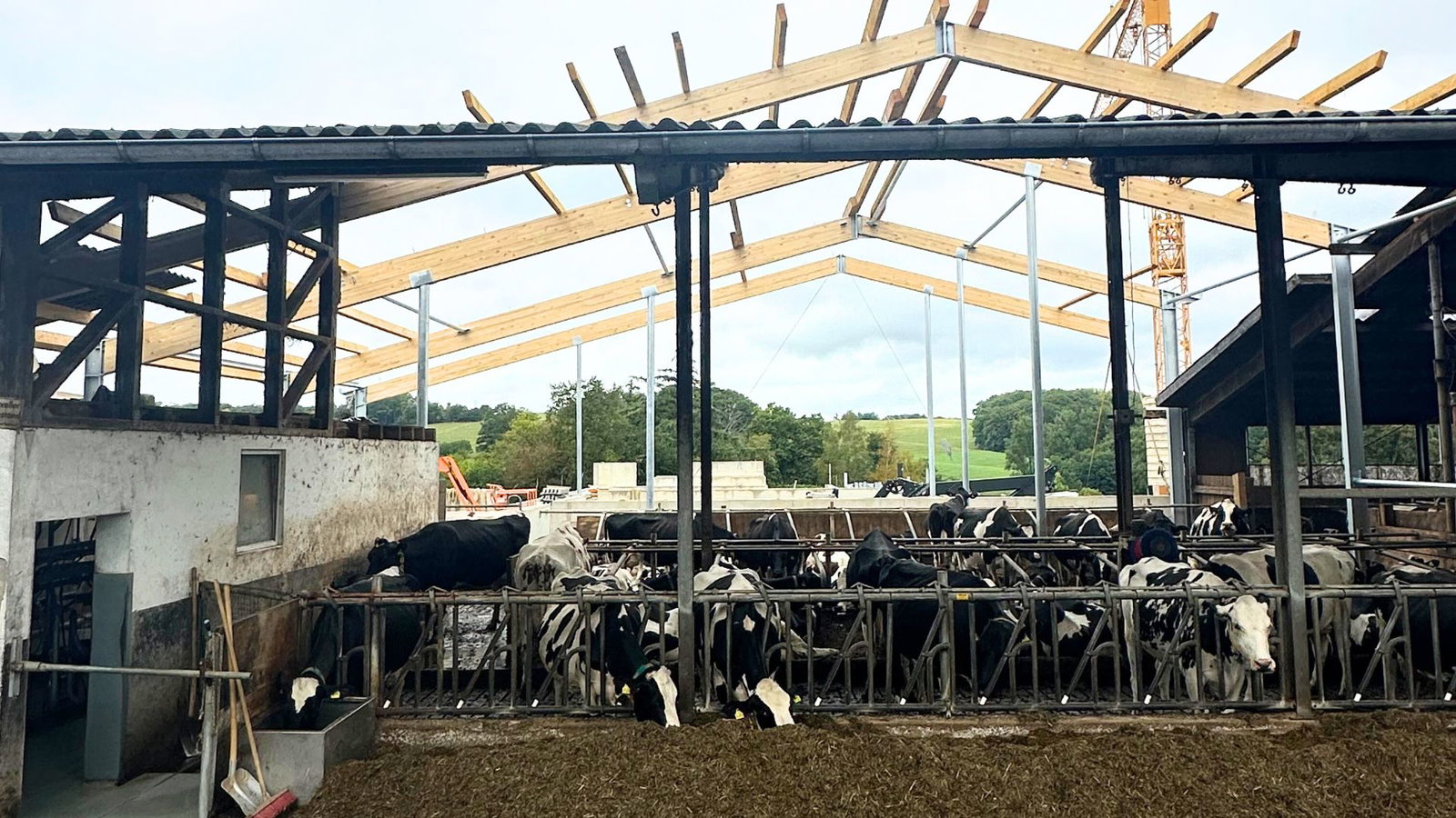stalleinrichtung-stallkonzept-alf-tierwohlstall-integration-7