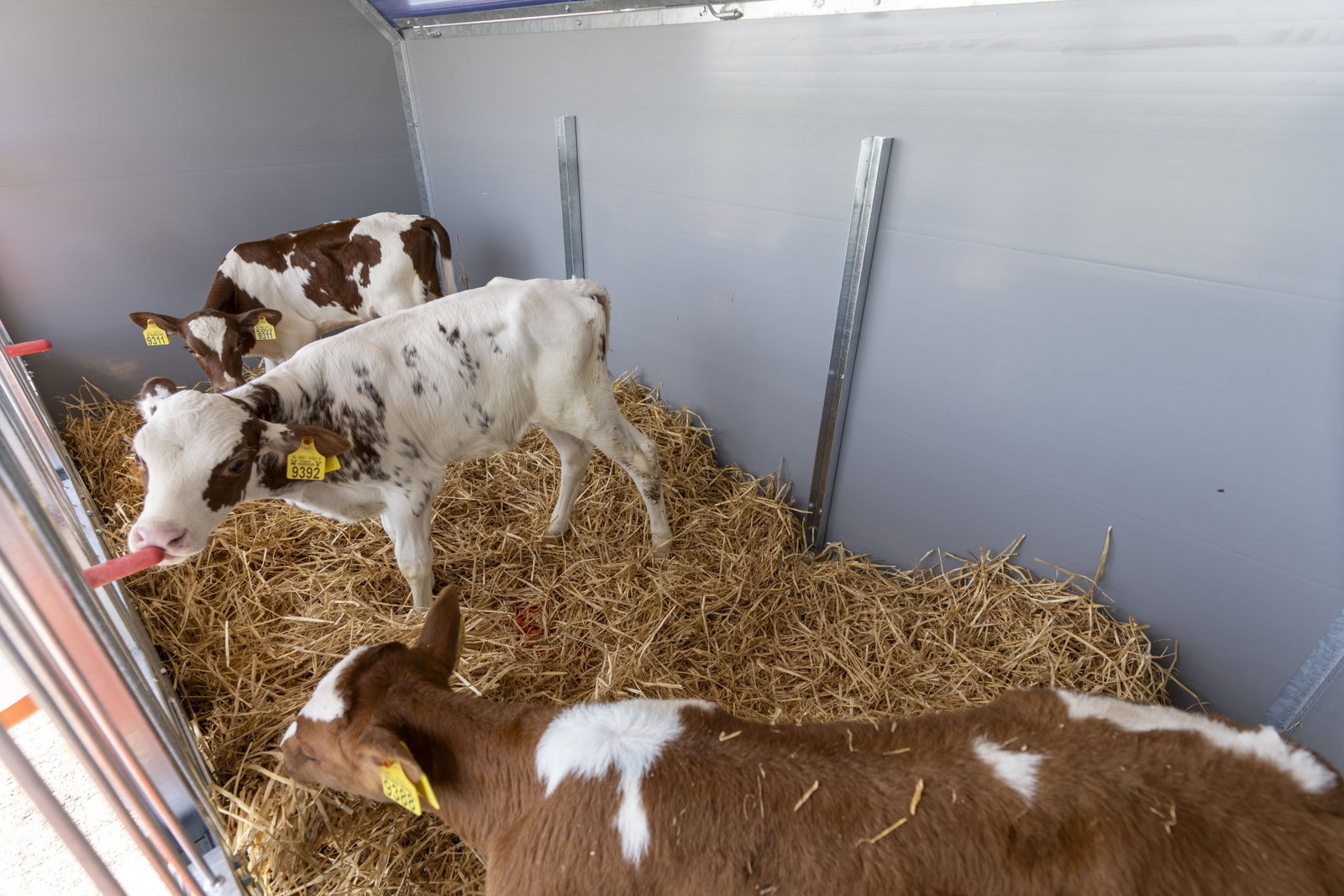 stalltechnik-roseboom-kaelberhuette-trio-ansicht-von-vorne