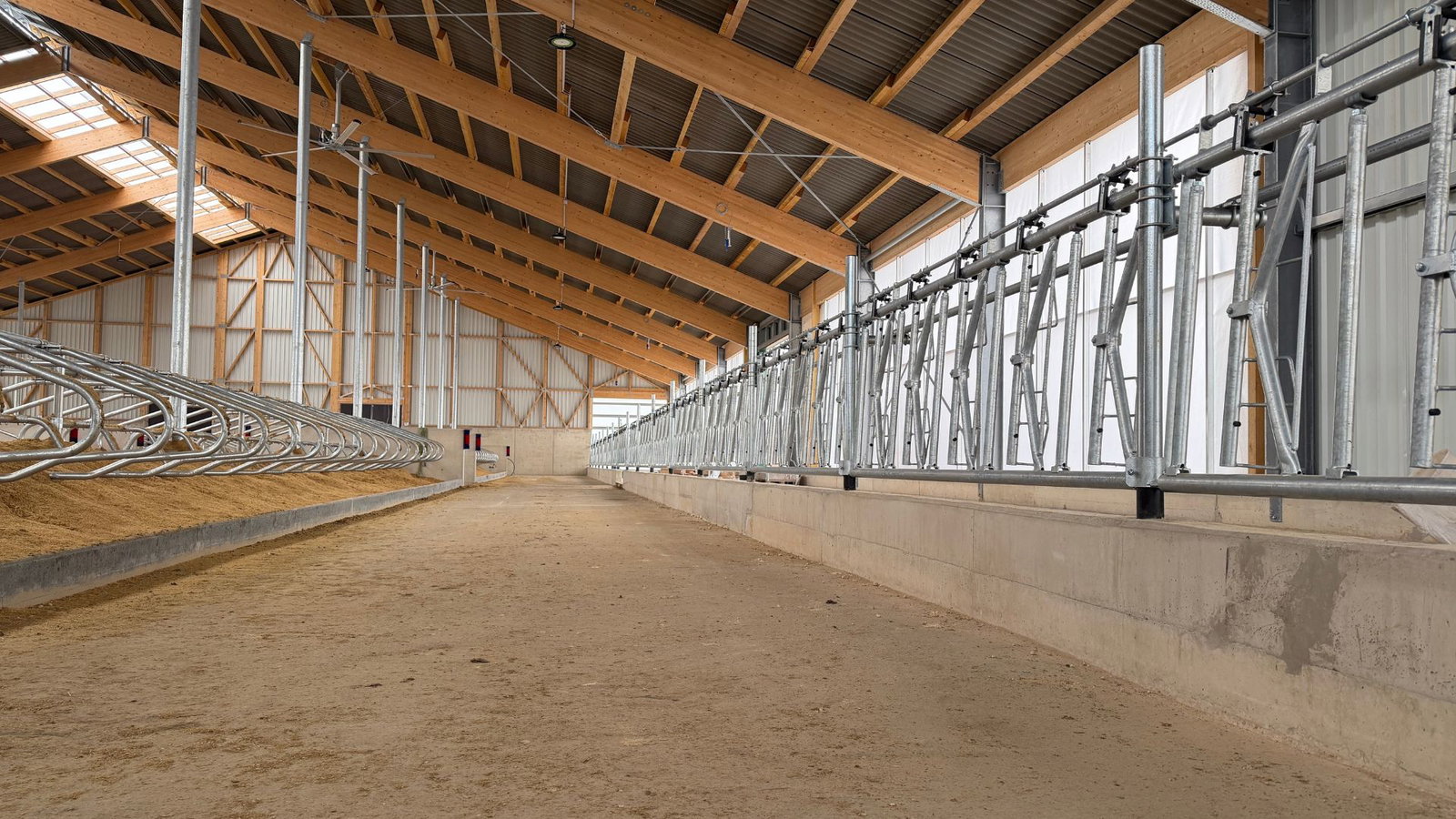 milchviehstall-boxenlaufstall-innen-liegeplatz-stalleinrichtung-stallkonzept-goldstein-tierwohlstall (2)