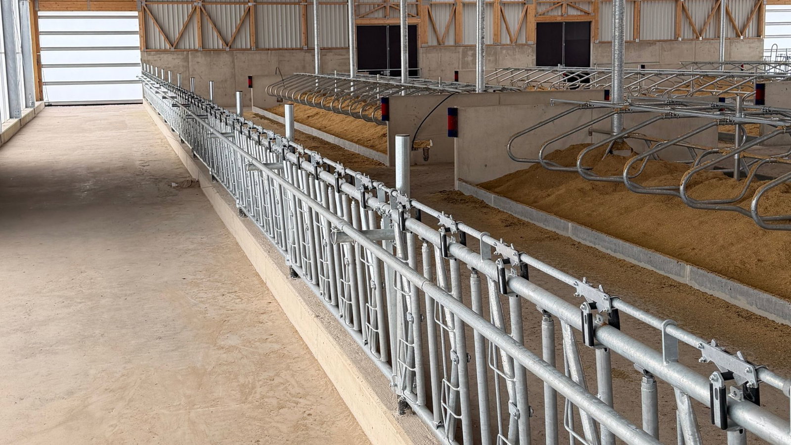 milchviehstall-boxenlaufstall-innen-futtertisch-stalleinrichtung-stallkonzept-goldstein-tierwohlstall