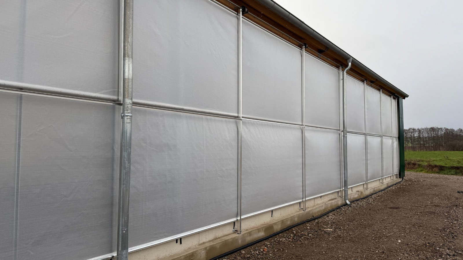milchviehstall-boxenlaufstall-auen-windschutz-stalleinrichtung-stallkonzept-goldstein-tierwohlstall