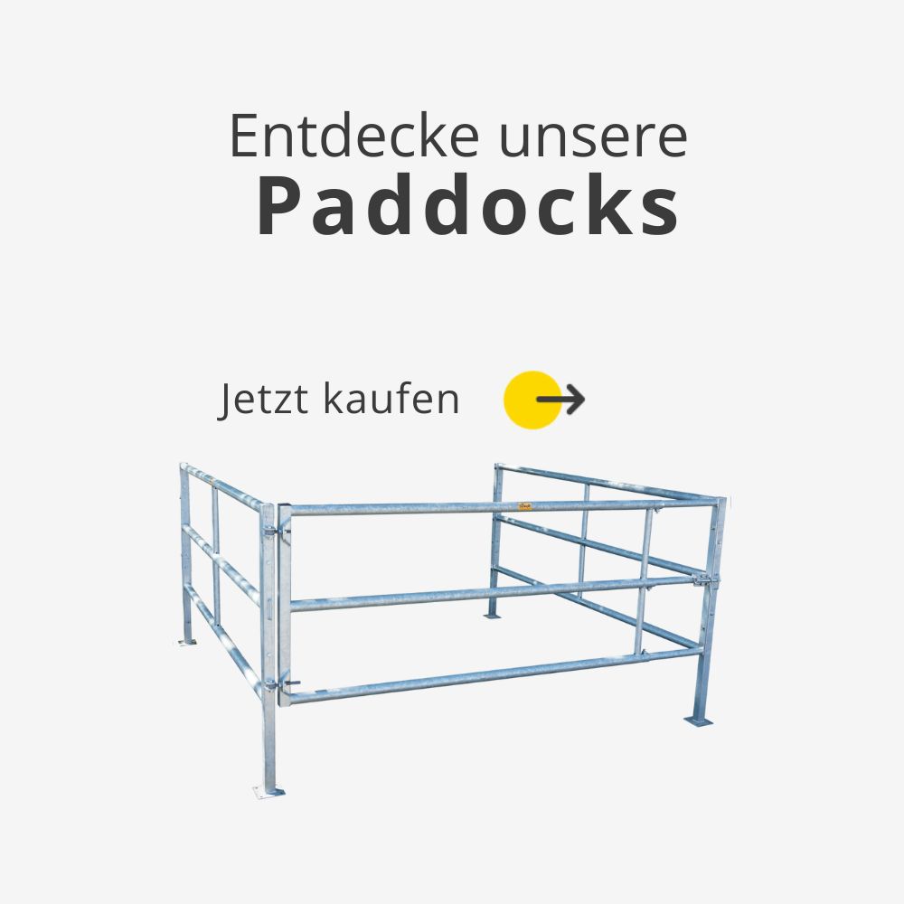 paddocks-sets-pferdehaltung-kaufen-stalltechnik24
