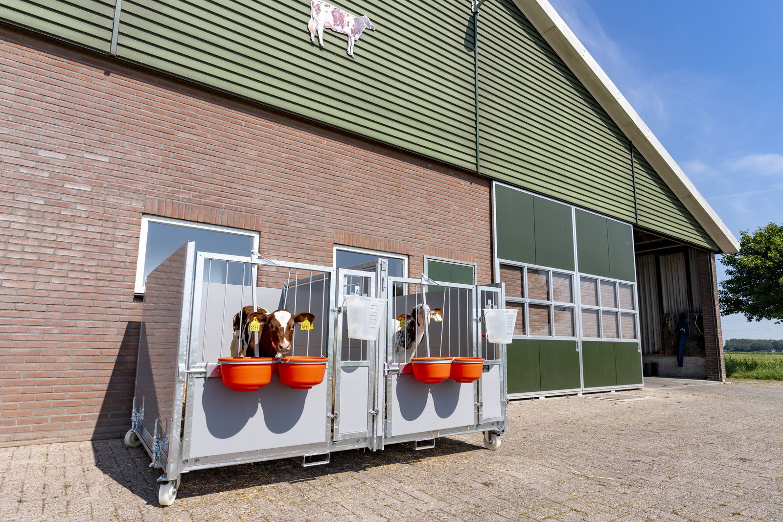 stalltechnik-roseboom-kaelberbox-duobox-einzeln